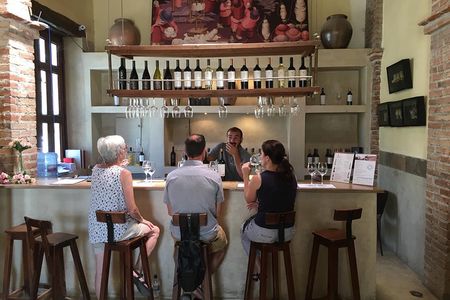 Exclusive day-long private tour of Cafayate vineyards