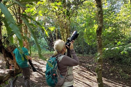 Full Morning Birdwatching Tour (Private Service)