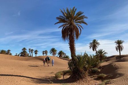 3-day trek - In the shade of palm trees
