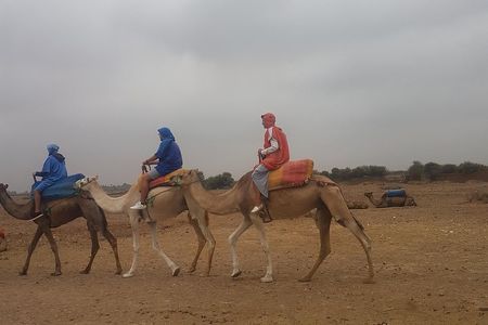 Day trip from Marrakesh to atlas Mountains