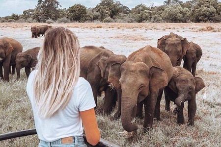 tuk tuk tour from Kandy to Sigiriya and Minneriya Safari trip.