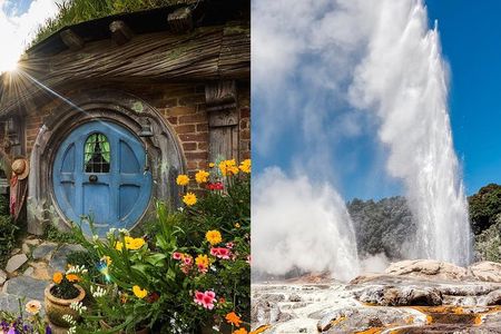 Hobbiton & Rotorua Small Group Day Tour inc Te Puia from Auckland