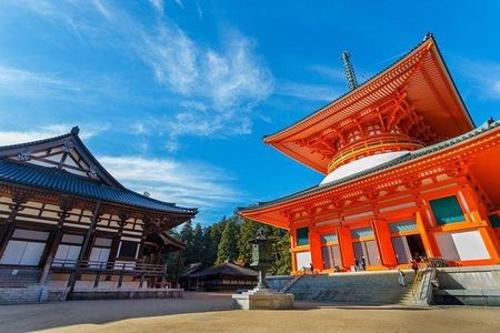 Mt. Koya Sacred 4hr Private Tour with Government Licensed Guide