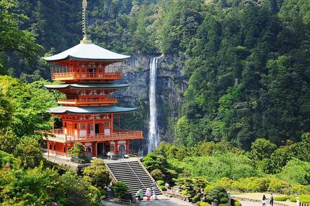 Kumano Kodo Pilgrimage Full-Day Private Trip with Government Licensed Guide