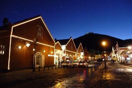 Hakodate 4hr Private Tour with Government-Licensed Guide