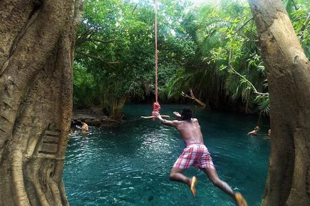 Kikuletwa Chemka Hot Spring Day Tour from Arusha