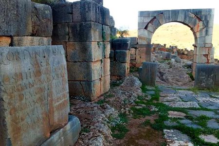 "Tiddis' Best" Tour by Fancyellow