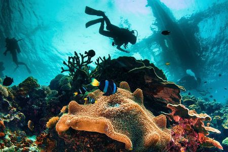Try and Discover scuba diving