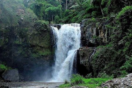 Private Chartered Car to Ubud and Uluwatu With Traditional Dances