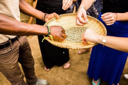 Coffee Tour Experience from Arusha