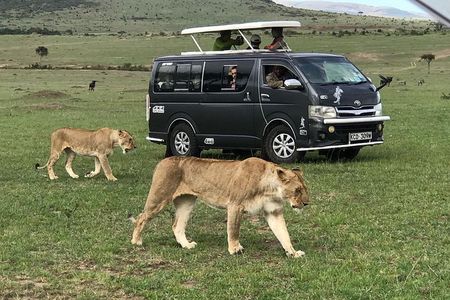 Amazing 9 Days Kenya and Tanzania Budget Safari
