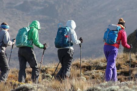 Day Trip Kilimanjaro Shira Plateau from Moshi