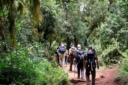 5 Days Mt.Kenya Climbing Chogoria gate down sirimon route