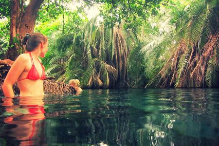 Kikuletwa Hotspring Day Tour