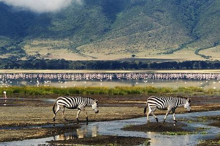 Ngorongoro Day Trip