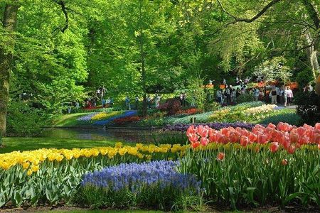 Private Day Trip to the Keukenhof Gardens and Giethoorn