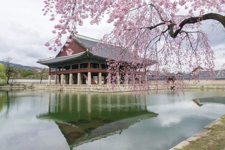 Seoul City Tour - Free Photo Service 
