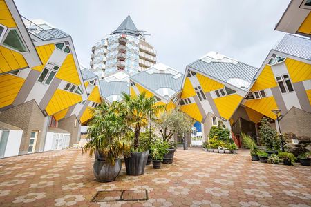 Explore the Instaworthy Spots of Rotterdam with a Local