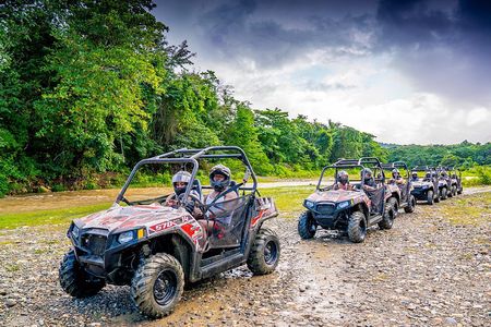Triple fun! Monkeyland + Damajagua Waterfalls + Buggies from Puerto Plata