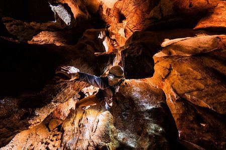 Multi-Cave Experience