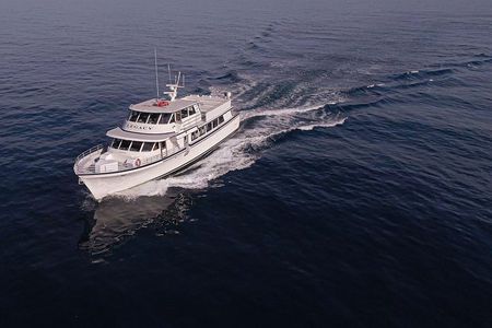 San Diego Whale Watching 3 Hour Tour Mission Bay