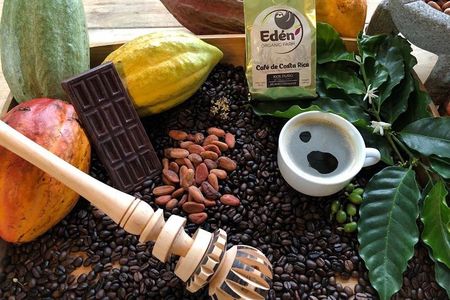 Eden Mocca Tour