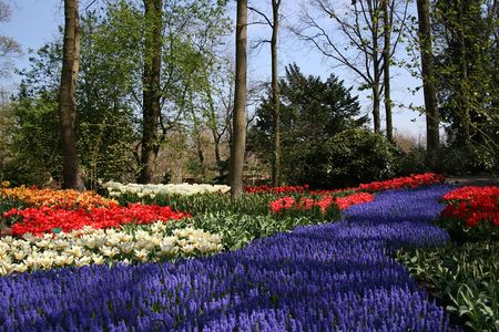 Private Day Trip to The Keukenhof Gardens and Zaanse Schans