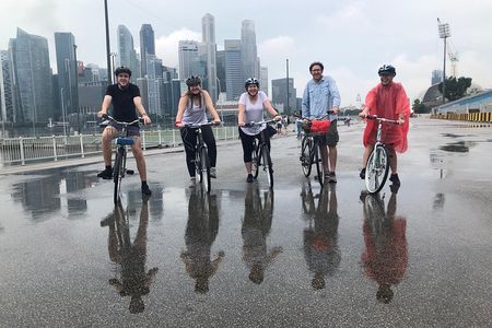 Breezing Singapore Bike Tour