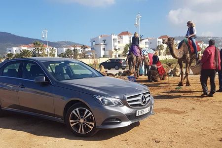 Camel ride experience &Sightseeing tour 