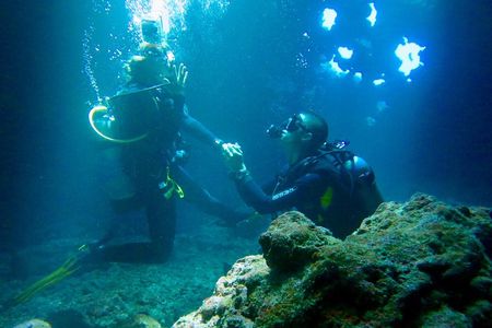 Turtle & Shark Scuba Dive in Lahaina: Certified