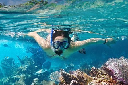 Koh Tao and Koh Nangyuan Snorkeling Tour by Speedboat from Ko Samui