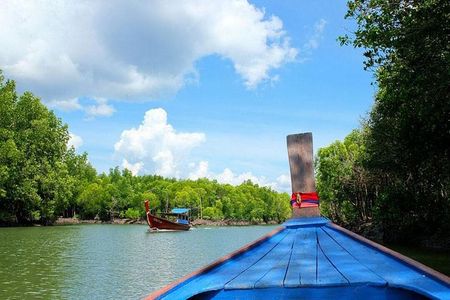 Tung Yee Peng Mangrove Forest Tour By Longtail Boat From Koh Lanta