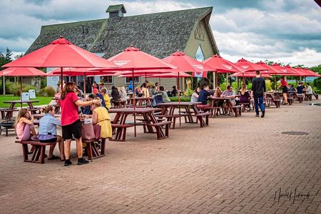 Private Custom-Made Niagara Falls Wine, Beer, and Spirits Tour