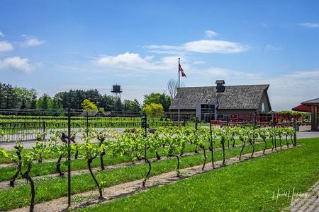 Private Customizable Scenic Niagara Winery Tasting Day Tour