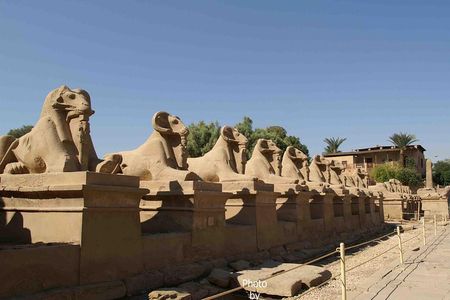 Full day tour at Luxor (East bank&West bank)