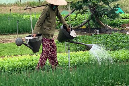Full Experience Tour: Cooking Class & Basket Boat at Eco-Village