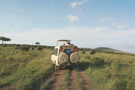 7 Days 6 Nights Aberdares / Lake Nakuru / Masai Mara / Lake Naivasha / Amboseli