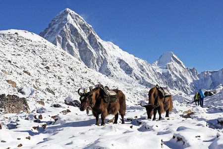 Everest View Trek- 8Days