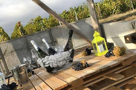 Champagne Lamiable: Stroll and taste in the Grand Cru Champagne vineyard
