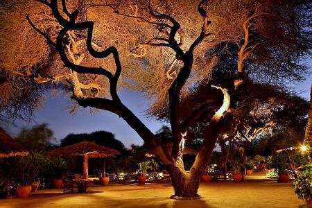 3 Days Amboseli Safari