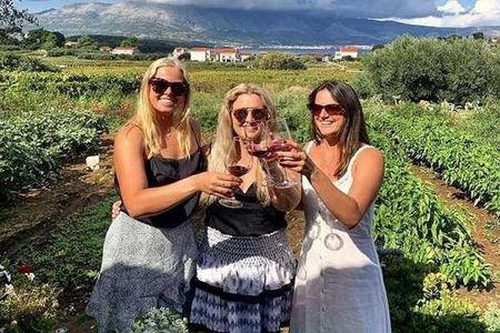 Wine tour Korčula - private tour