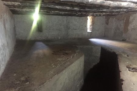 Stone Town, Spice Farm and Jozani Forest Private Tour