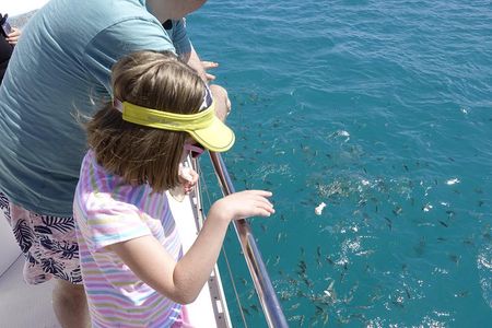 Full Day Reef Safari at St Anne Marine National Park