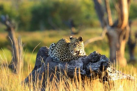 2 days Amboseli National Park Safari