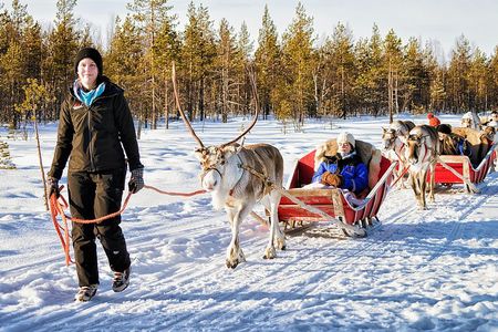 Rovaniemi Reindeer Farm visit and Safari