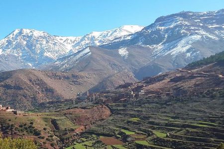 Ourika Waterfalls 1 Day Private Trip through the Atlas Mountains from Marrakech