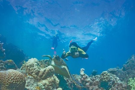 Airlie Beach- Private half day catered & crewed yacht charter