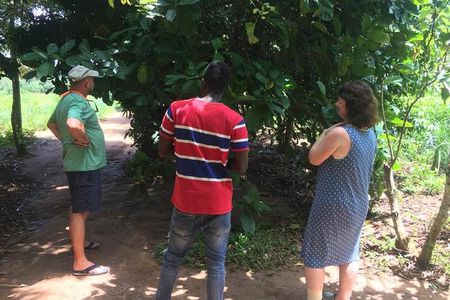 Spice Farm and Jozani Forest Private Tour
