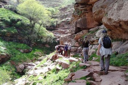 Ourika tizi n'oucheg