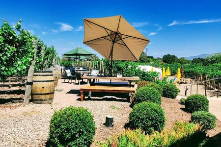 Santa Barbara Wine Tasting Day Tour from Los Angeles